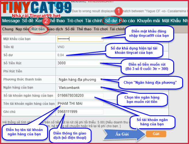 Quy trình rút tiền từ TINYCAT99
