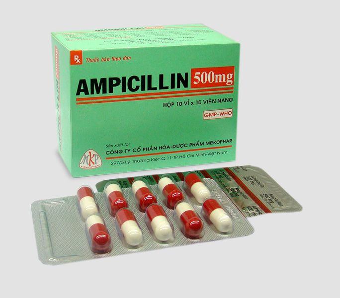 dùng alpha choay và thuốc ampicillin chữa bệnh gà khò khè khó thở