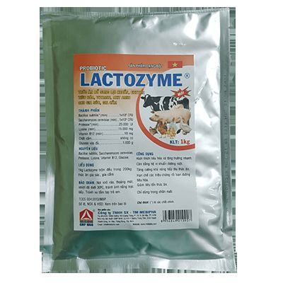 Sử dụng men tiêu hóa cho động vật Lactozyme giúp chữa ăn không tiêu.