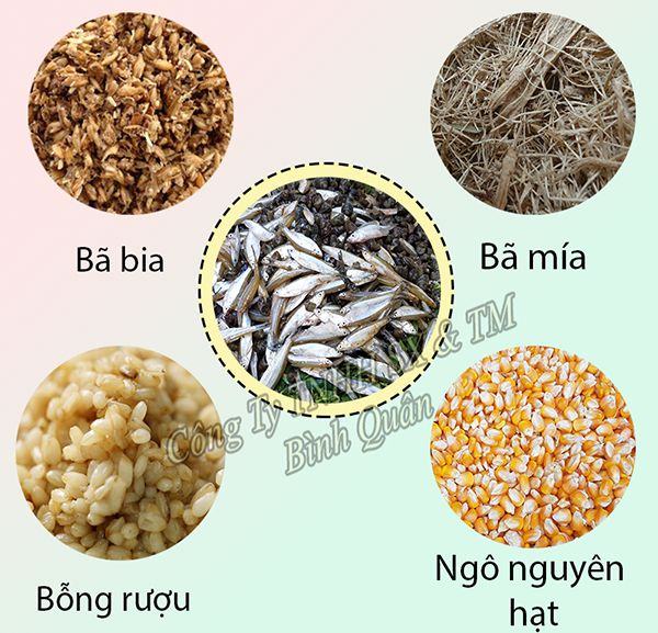 Thức ăn gợi ý của mô hình nuôi gà thả vườn kiểu mới.