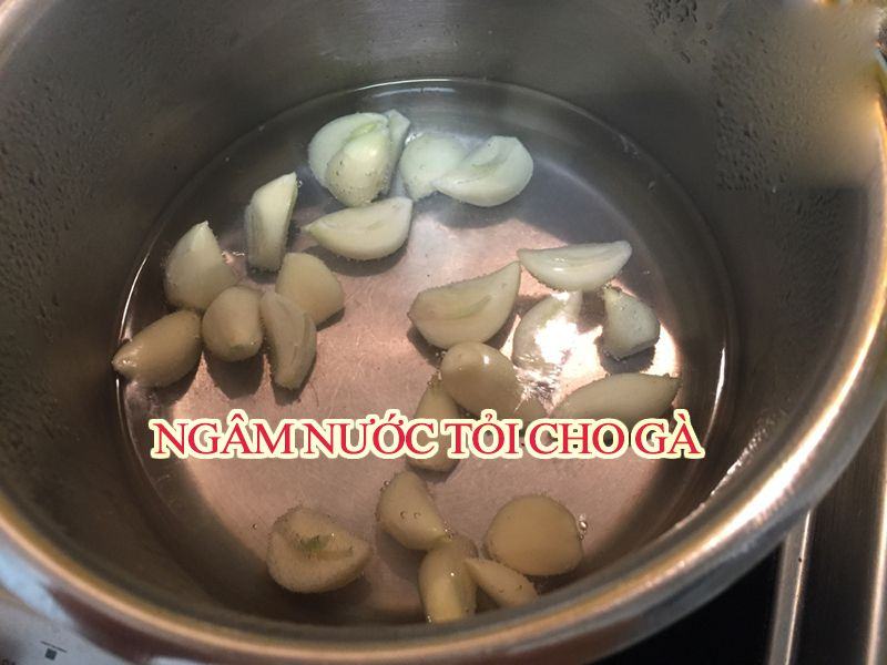 tỏi ngâm nước cho gà uống