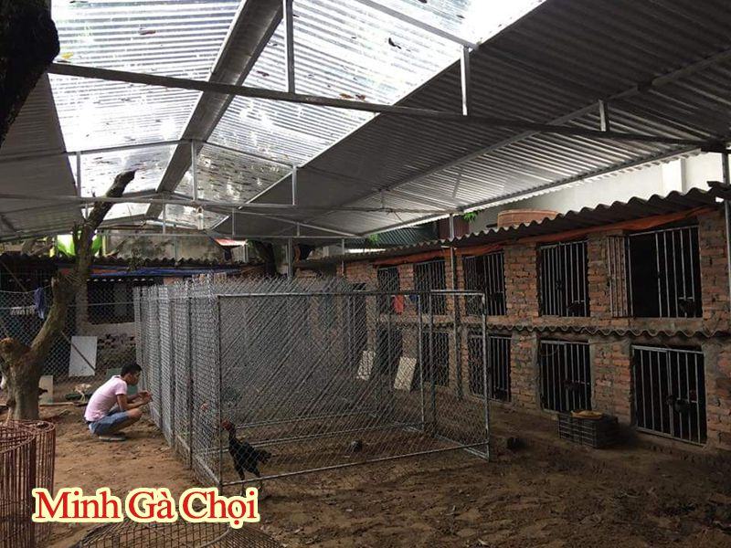 Khu chuồng gà chọi bằng lưới sắt B40.