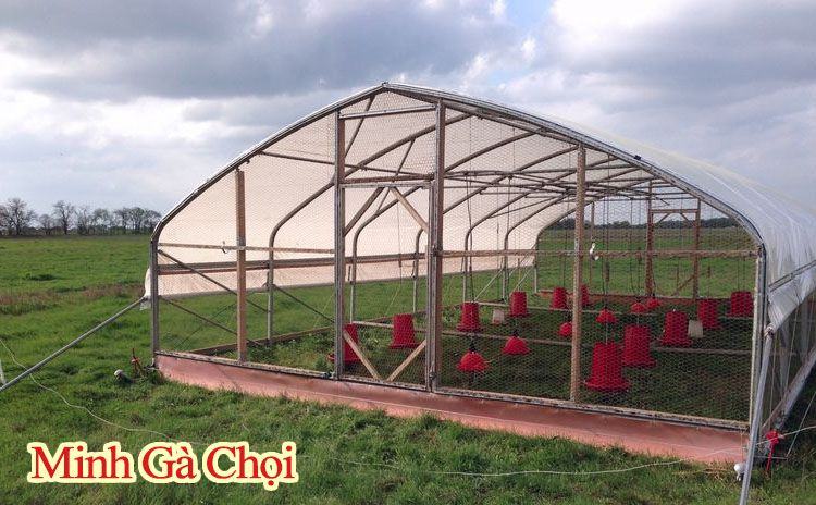 cách làm chuồng nuôi gà thả vườn