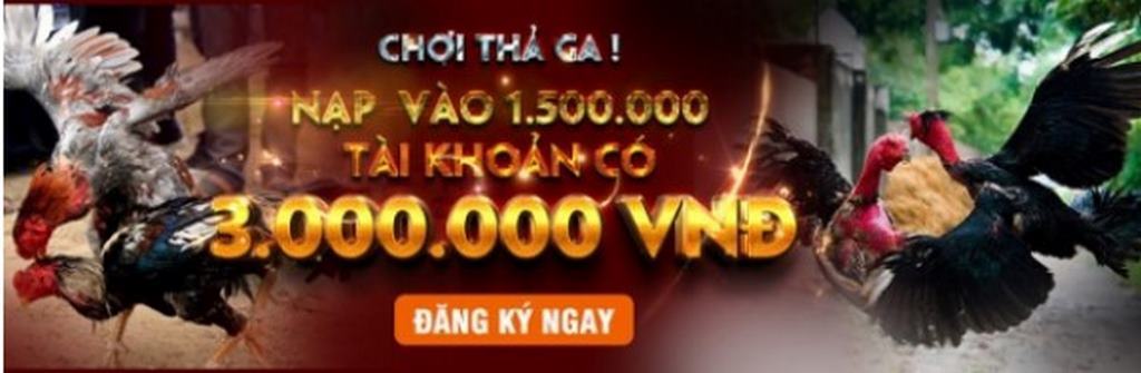 S128net - Cách Đăng Nhập Trang Đá Gà Trực Tuyến Hàng Đầu