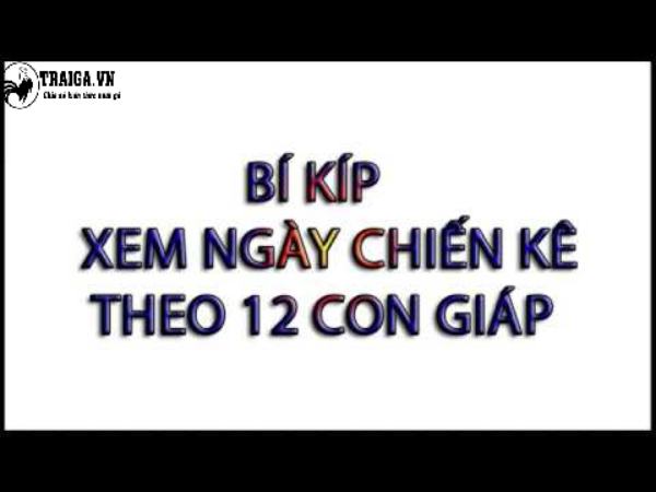 Những điều lưu ý về bí kíp xem ngày gà đá