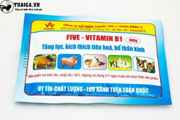 Gà bị liệt chân cho uống thuốc gì?