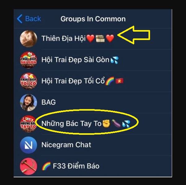 link nhom kin telegram