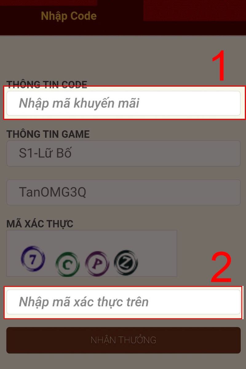 Nhập code và mã xác thực vào ô bên dưới