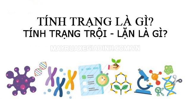 Thế nào là tính trạng