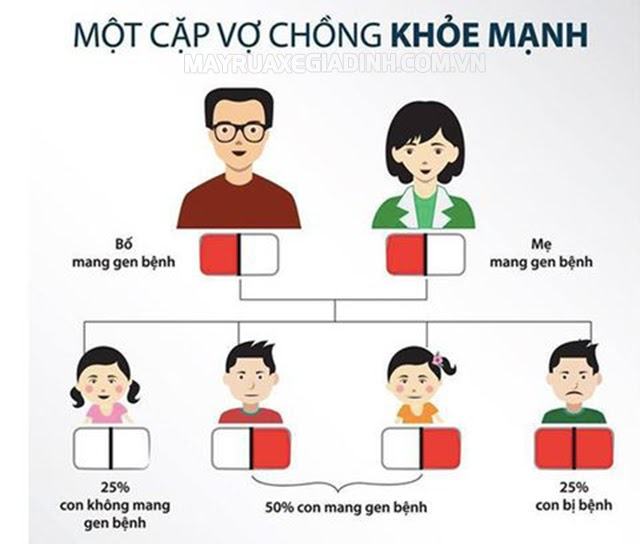 Bố mẹ chứa gen bệnh sẽ di truyền cho con ra sao?