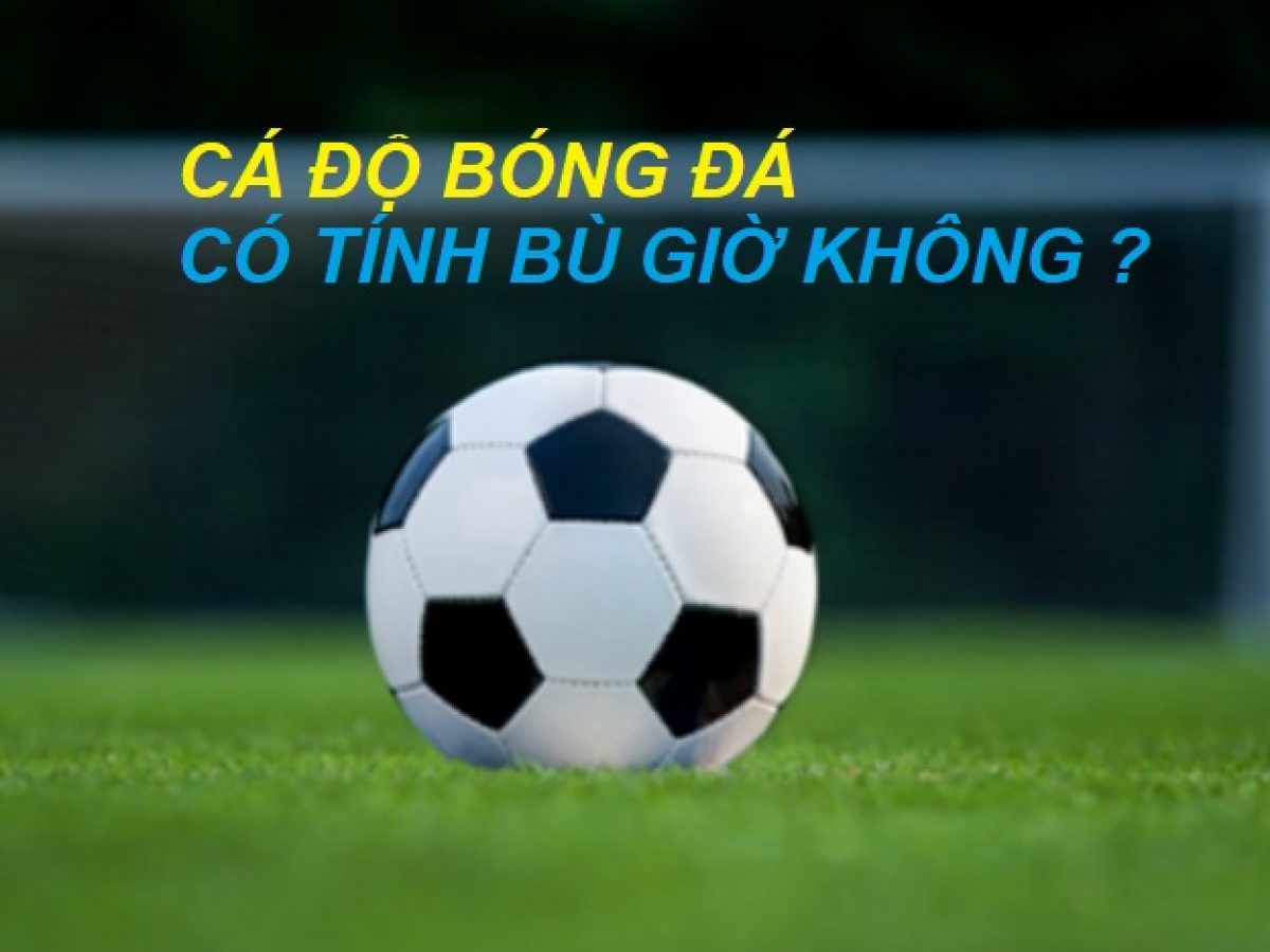 giai-dap-thac-mac-ca-do-bong-da-co-tinh-bu-gio-khong